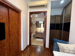 Holland Link (D10), Terrace #562523941
